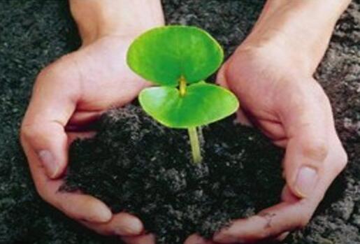 有機肥對農業(yè)的7大貢獻